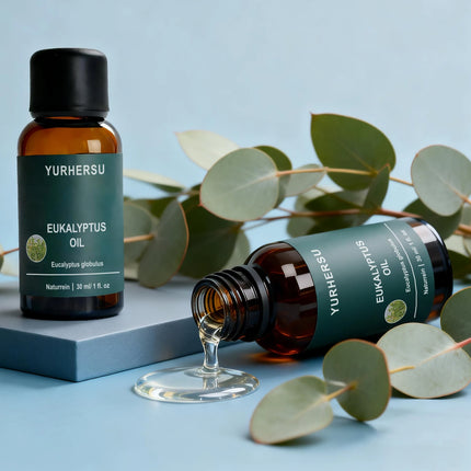 S241d652af7f14dc0839249ad3bad079fd