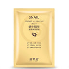 snail